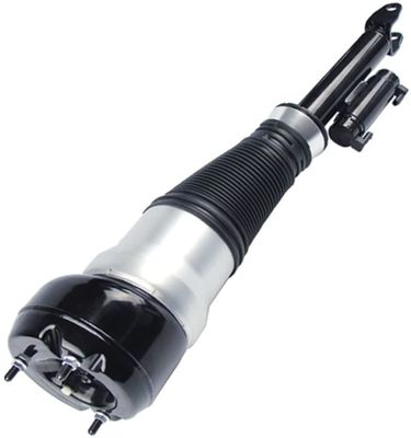 kopen 2223204813 Onderdelen luchtvering Luchtveringspoot online manufacture