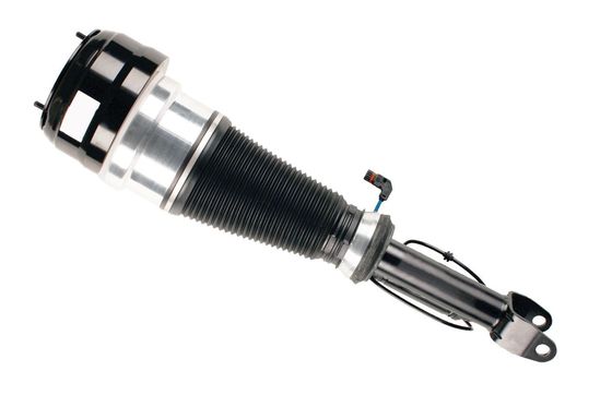 kopen 2213209513 Onderdelen luchtvering Luchtveringspoot online manufacture