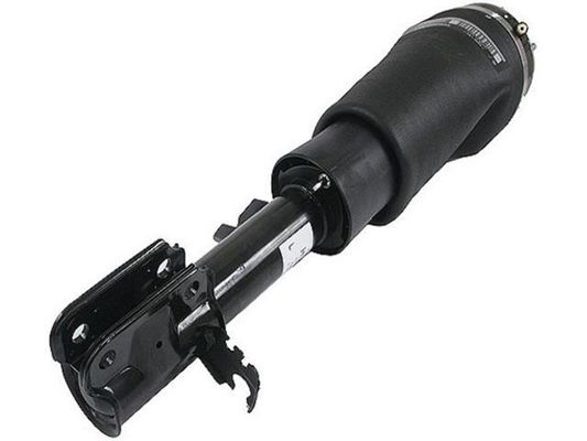 kopen RNB500550 Onderdelen luchtvering Luchtveringspoot online manufacture