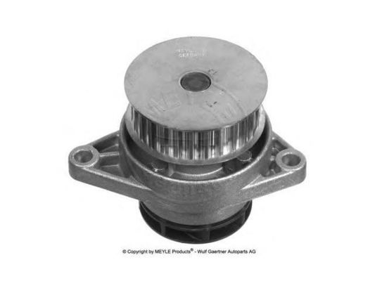 036121005P Motoronderdelen Waterpomp