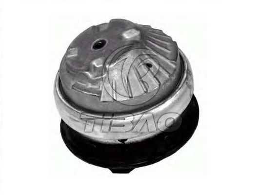 2032400317 Motoronderdelen Motormontage voor MERCEDES-BENZ C-Klasse (W203)