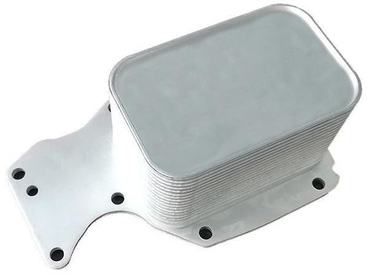 11428574005 Motoronderdelen BMW Olie koeler