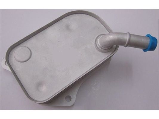 06B117021 Motoronderdelen Olie koeler
