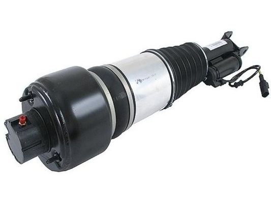 2113209313 Onderdelen luchtvering Luchtveringspoot
