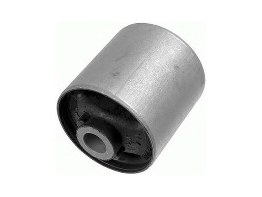 RGX500211 Onderdelen van de ophanging Beheersarm Bushing